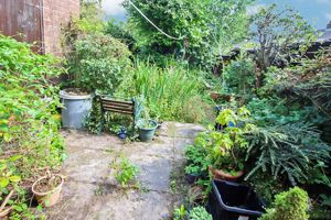 Rear Garden- click for photo gallery